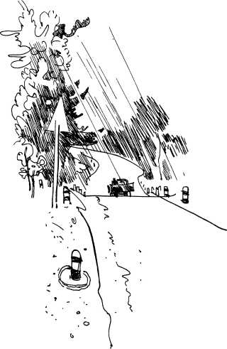 Книгаго: Лесные сторожа. Иллюстрация № 3