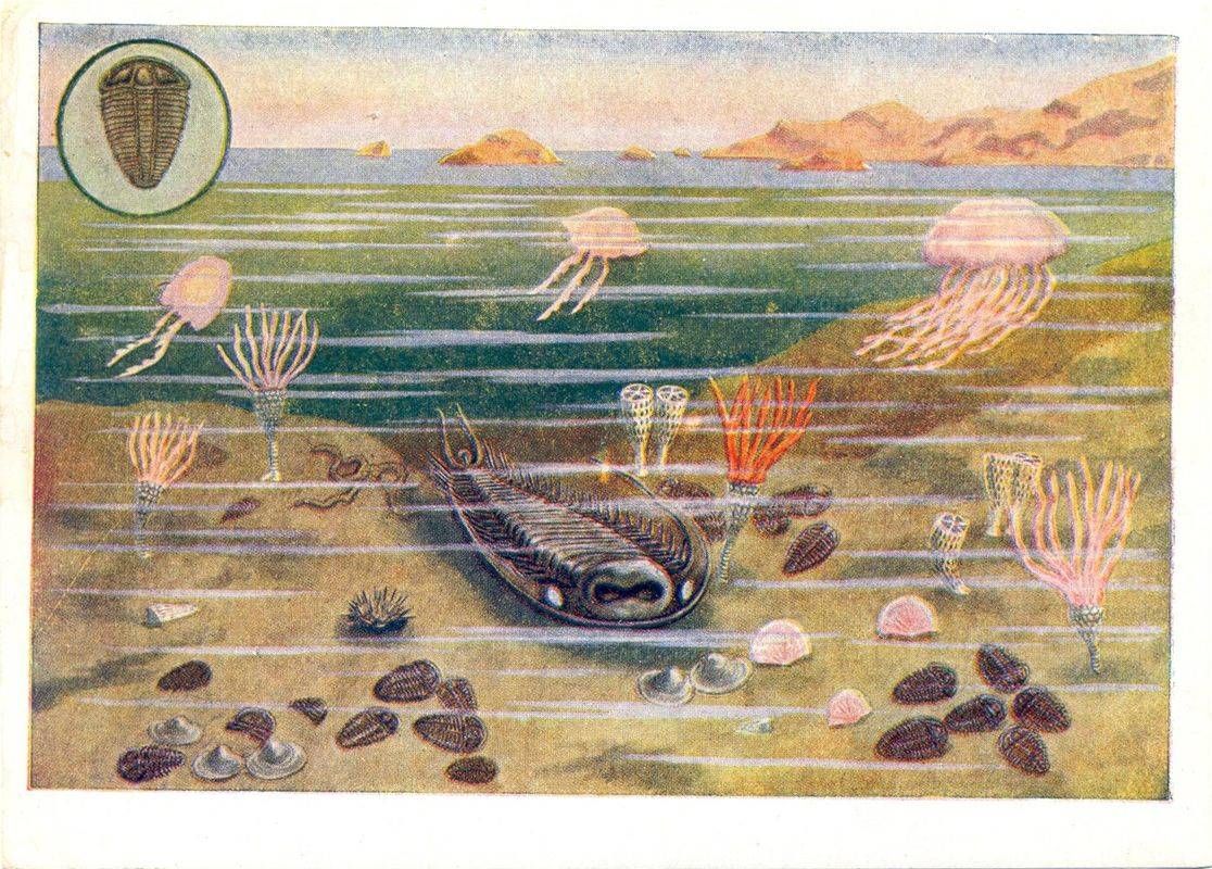 Книгаго: Серия рабочих картин-открыток «Вымершие животные и растения». Иллюстрация № 5
