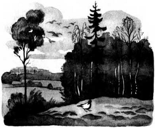Книгаго: Гнездо ласточки. Иллюстрация № 19