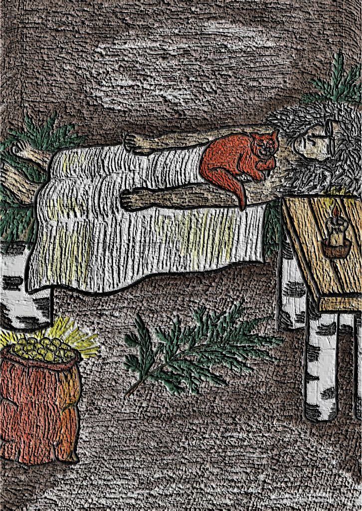 Книгаго: Йошкин кот. Иллюстрация № 4