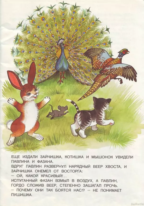 Книгаго: Зайчишка-Пушишка в зоопарке. Иллюстрация № 4