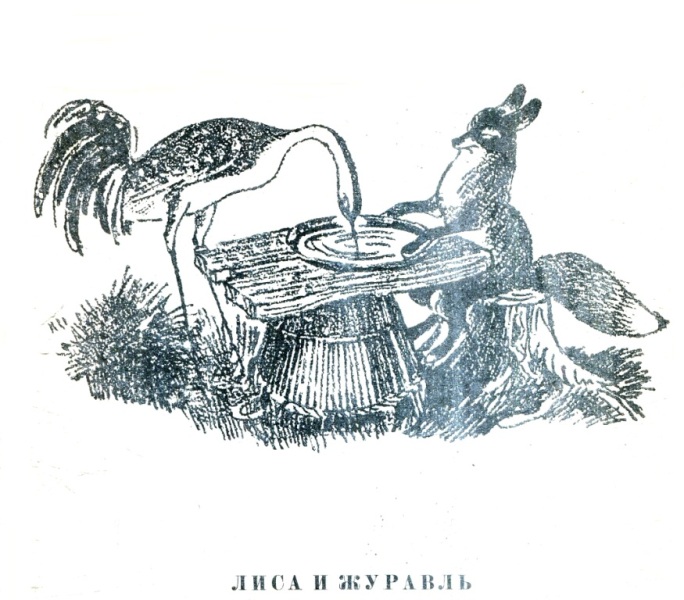 Книгаго: Девочка и лиса. Иллюстрация № 4