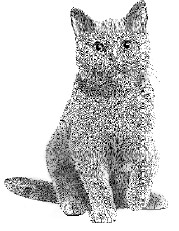 Книгаго: Алфи – невероятный кот. Иллюстрация № 2