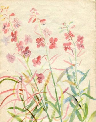 Книгаго: Наши цветы. Иллюстрация № 15