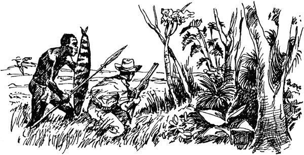 Книгаго: Книга Великих джунглей. Иллюстрация № 6
