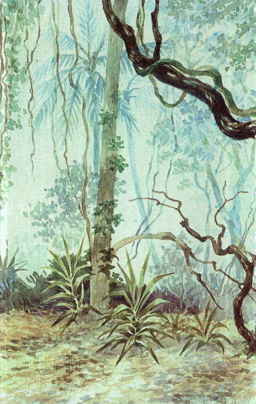 Книгаго: Книга Великих джунглей. Иллюстрация № 95