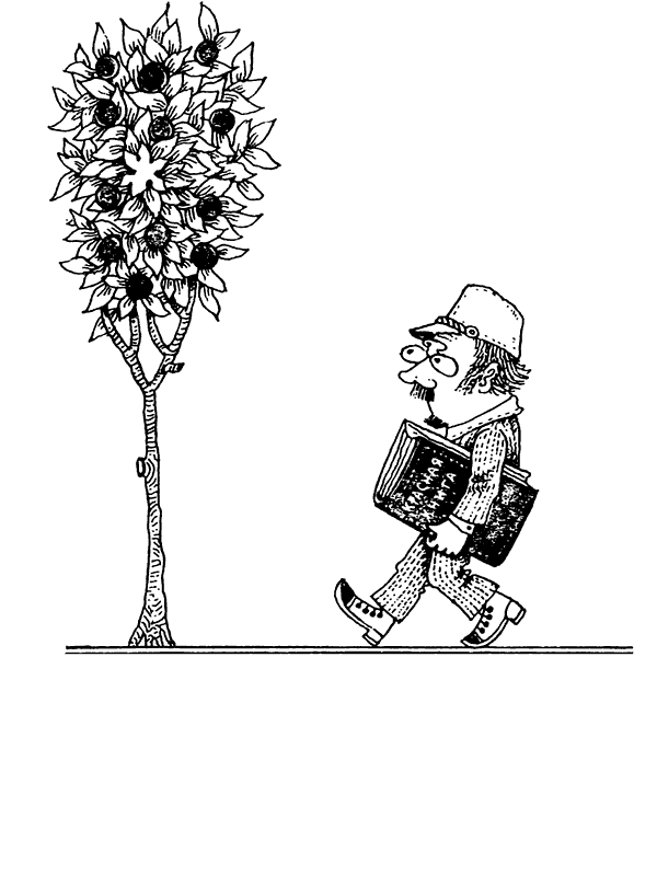 Книгаго: В мире исчезающих растений. Иллюстрация № 1