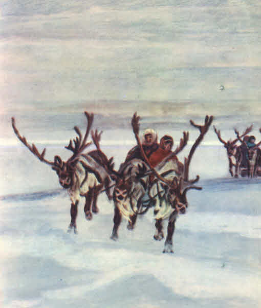 Книгаго: Зимний маршрут по Гыдану. Иллюстрация № 44