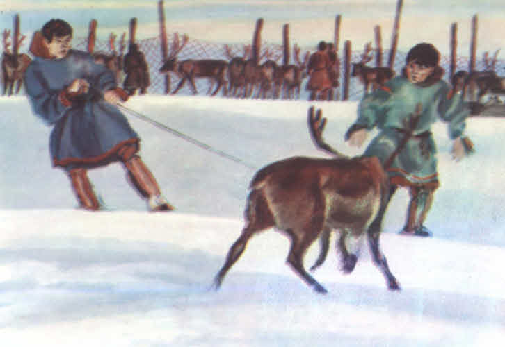 Книгаго: Зимний маршрут по Гыдану. Иллюстрация № 47