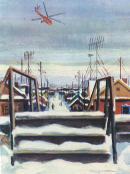 Книгаго: Зимний маршрут по Гыдану. Иллюстрация № 48