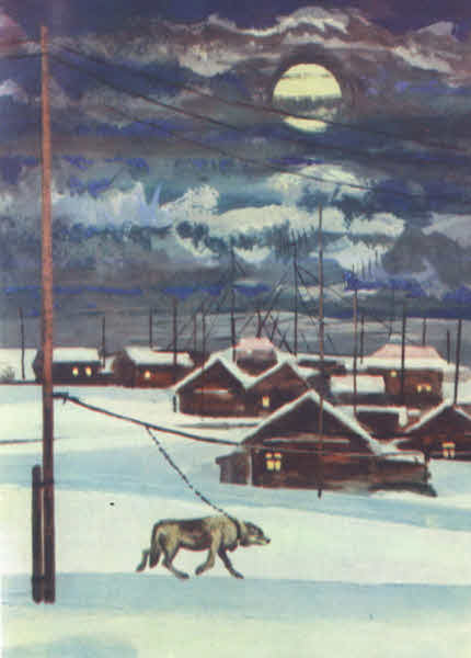 Книгаго: Зимний маршрут по Гыдану. Иллюстрация № 54
