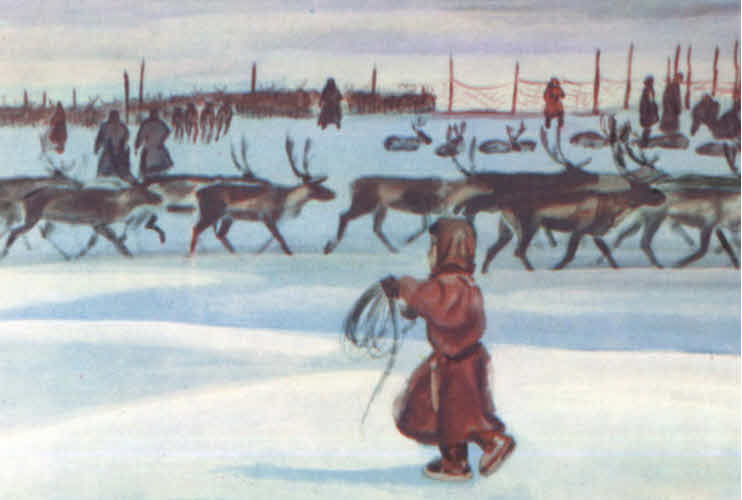 Книгаго: Зимний маршрут по Гыдану. Иллюстрация № 56