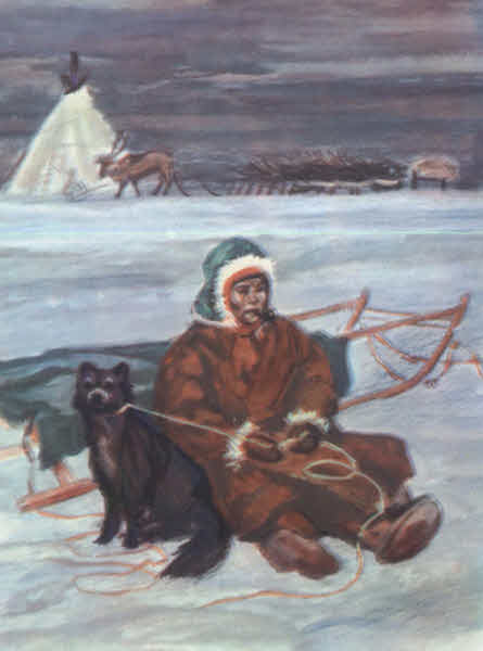 Книгаго: Зимний маршрут по Гыдану. Иллюстрация № 57