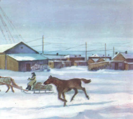 Книгаго: Зимний маршрут по Гыдану. Иллюстрация № 64