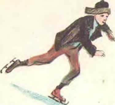 Книгаго: Пятеро на одних коньках. Иллюстрация № 11