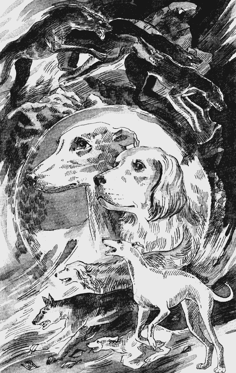 Книгаго: Собачья гроза. Иллюстрация № 1