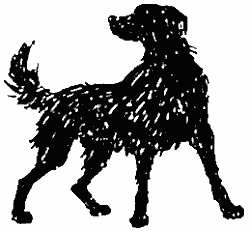 Книгаго: Собачья гроза. Иллюстрация № 3