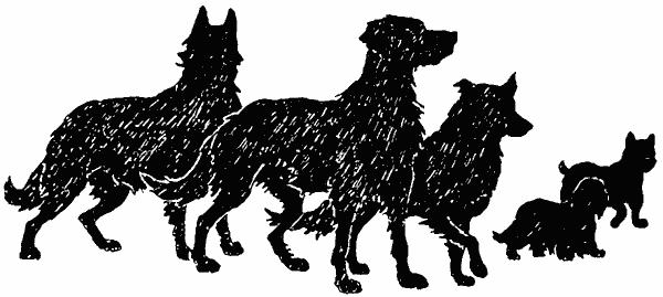 Книгаго: Собачья гроза. Иллюстрация № 4