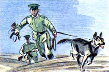 Книгаго: Ефрейтор Полухин. Иллюстрация № 1