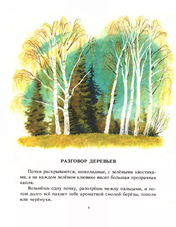 Книгаго: Разговор деревьев. Иллюстрация № 8