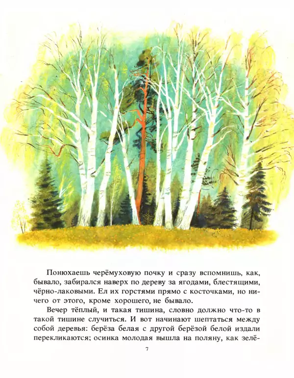 Книгаго: Разговор деревьев. Иллюстрация № 9
