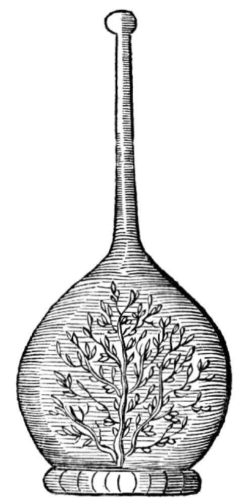 Книгаго: Цветы зла. Безумная ботаника. 1894-1911. Иллюстрация № 2