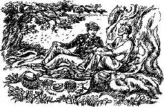 Книгаго: Филе из палтуса (с иллюстрациями). Иллюстрация № 2