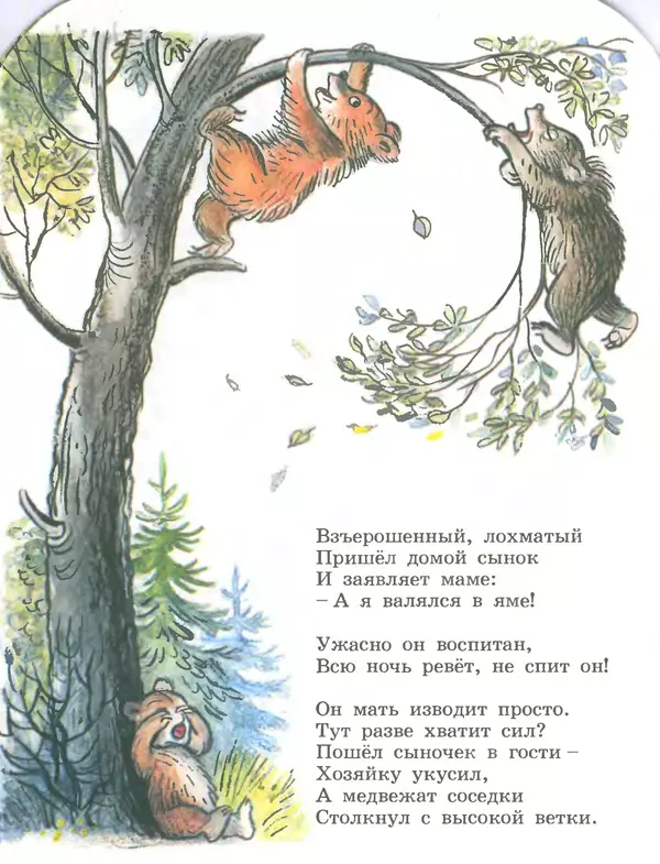 Книгаго: Медвежонок-невежа. Иллюстрация № 6
