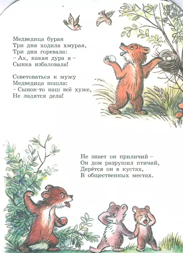 Книгаго: Медвежонок-невежа. Иллюстрация № 7