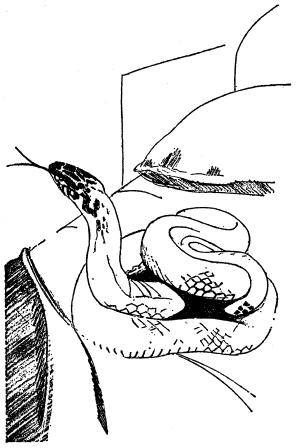 Книгаго: Шагающий каприз [Striding Folly] (3 рассказа). Иллюстрация № 11
