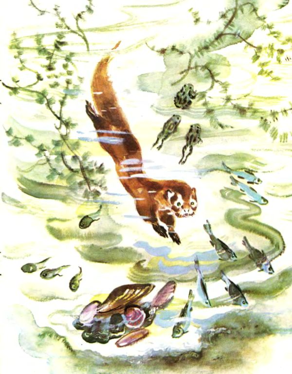 Книгаго: Лесные дети. Иллюстрация № 6