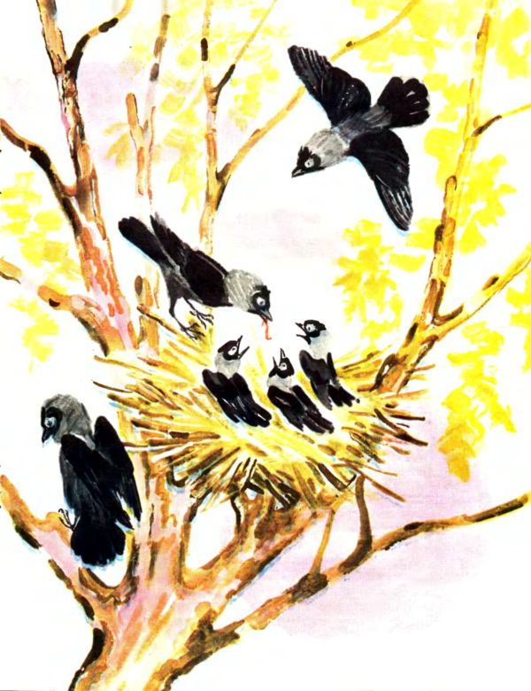 Книгаго: Лесные дети. Иллюстрация № 8