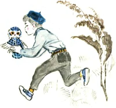 Книгаго: Лесные дети. Иллюстрация № 9