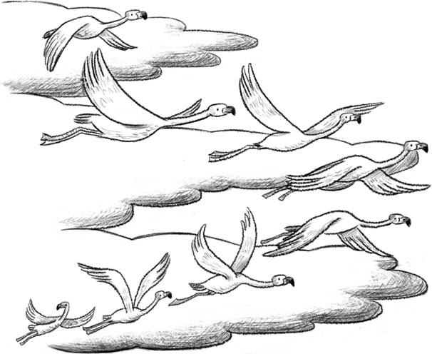 Книгаго: Фламинго, которая мечтала стать балериной. Иллюстрация № 3