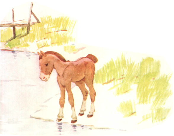 Книгаго: Зелёный кузнечик. Иллюстрация № 10