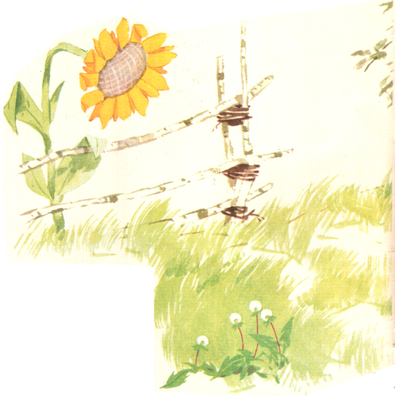 Книгаго: Зелёный кузнечик. Иллюстрация № 11
