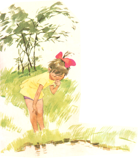 Книгаго: Зелёный кузнечик. Иллюстрация № 12
