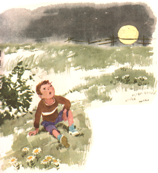 Книгаго: Зелёный кузнечик. Иллюстрация № 16