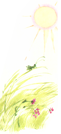 Книгаго: Зелёный кузнечик. Иллюстрация № 4