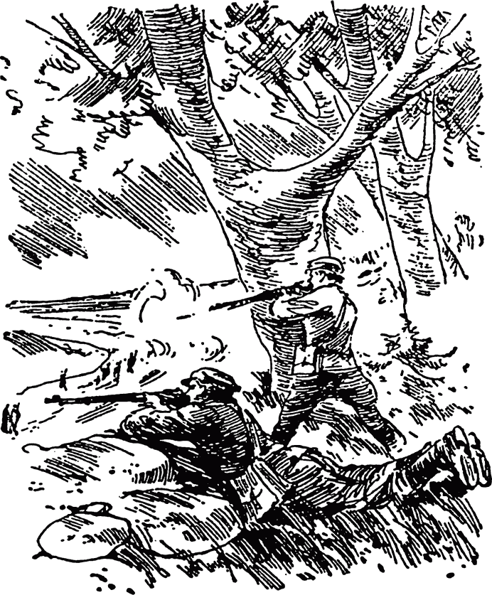 Книгаго: Фронтовая гармошка. Иллюстрация № 7