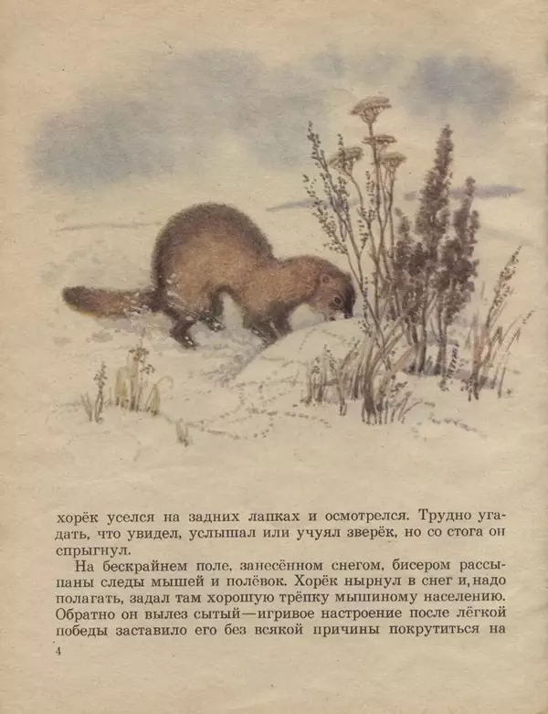 Книгаго: Следы на снегу. Иллюстрация № 4