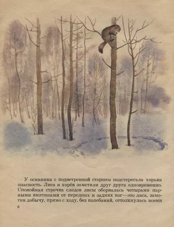 Книгаго: Следы на снегу. Иллюстрация № 6