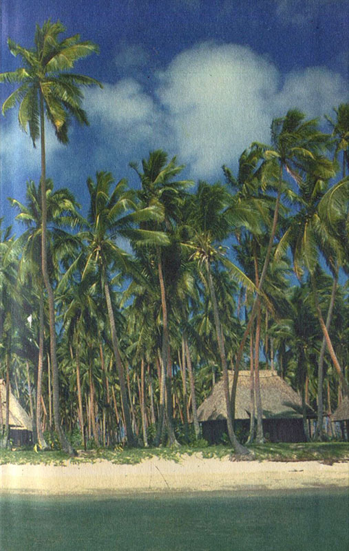 Книгаго: Охота за головами на Соломоновых островах. Иллюстрация № 1