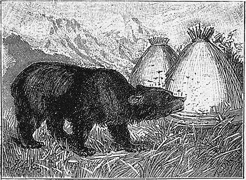 Книгаго: Медведь и другие рассказы. Иллюстрация № 4
