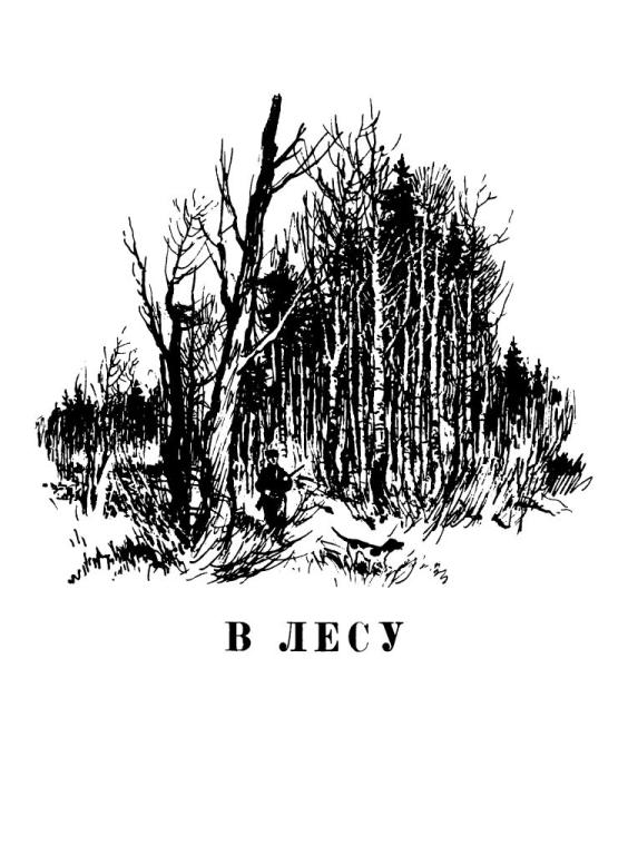 Книгаго: Лесные тропы. Иллюстрация № 2