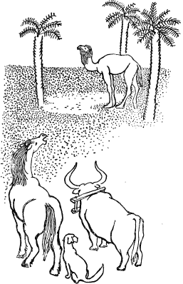 Книгаго: Отчего у верблюда горб. Иллюстрация № 1