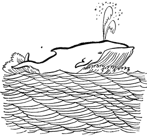 Книгаго: Откуда у кита такая глотка. Иллюстрация № 2