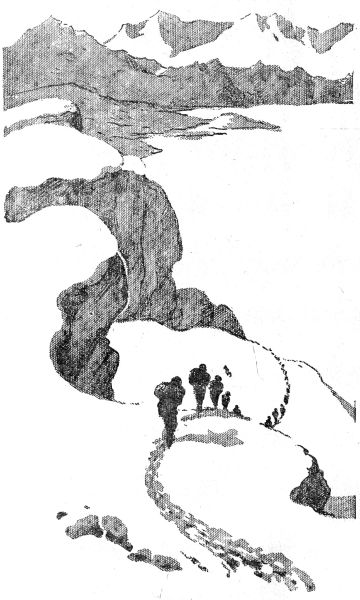 Книгаго: По следам снежного человека. Иллюстрация № 2