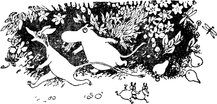 Книгаго: Муми-тролль и комета. Иллюстрация № 5