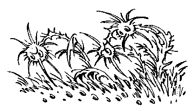 Книгаго: Лиловый шар (с иллюстрациями). Иллюстрация № 2